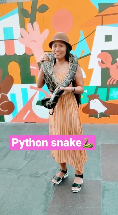 Python snake (Sawa) #fear #mahal #snake #python - YouTube