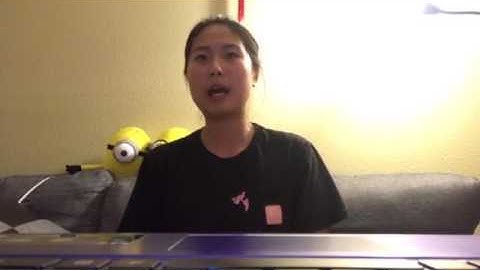 video internship report