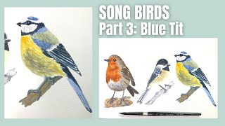 Watercolor Birds for Beginners - Paint a Blue Tit Bird Easy screenshot 2