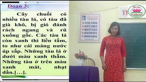 bài dạy tập làm văn lớp 4. bài miêu tả cây cối giáo viên lê thị hảo tiểu học thị trấn nưa