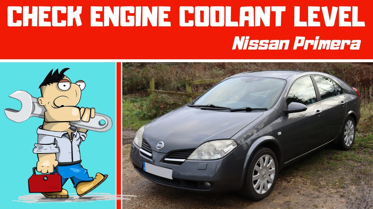 How To Check Engine Coolant Level (Nissan Primera P12