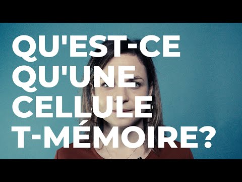 Vidéo: Où sont stockées les cellules mémoire ?