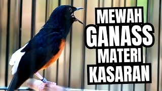 MURAI BATU GACOR FULL ISIAN TEMBAKAN DAN KRETEKAN MEWAH SANGAT AMPUH UNTUK MELATIH BONGKAR ISIAN