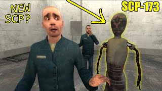 Never Go To New Scp-173