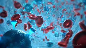 Stardust Biology After Effects Tutorial Final Result