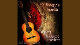 Video thumbnail of "Gypsy Flamenco Masters - Little Wing"