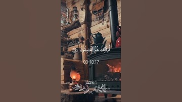 {سورة الحشر} بصوت القارئ الشيخ علي جابر ❤️🌱