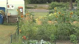 Bloomington Today: The BUZZ August 14 - 20