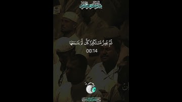 ويل لكل أفاك أثيم سورة الجاثية الشيخ ياسر الدوسري