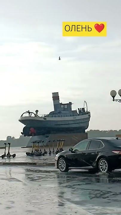 ОЛЕНЬ НИЖНИЙ НОВГОРОД ЛИВЕНЬ #россия #обзор #лето #лето2024 # ...