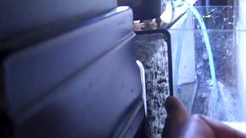 Starting a CPR Overflow