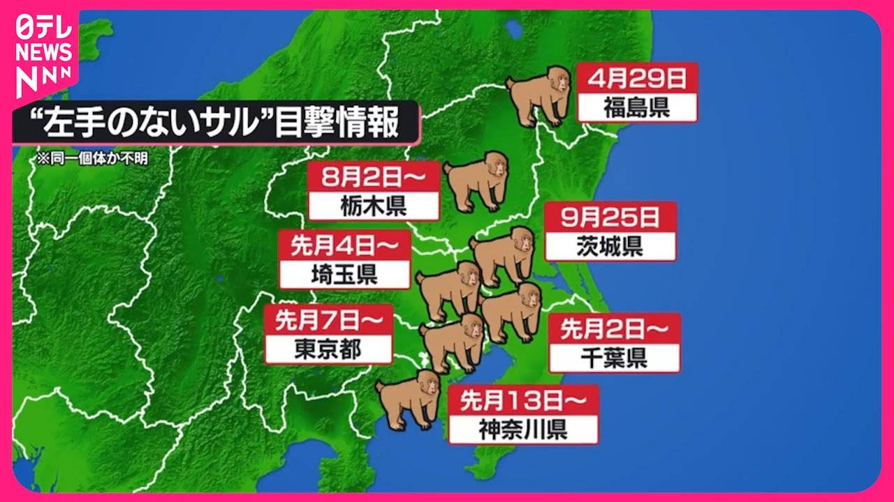 猿たまさんご確認用✨ 猿玉さんご確認用 (MONKEY TIME(モンキータイム) / オーバー