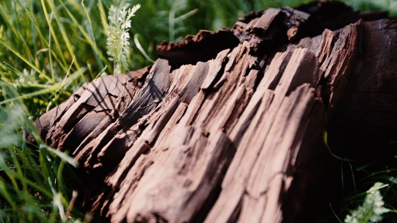 HUMINTECH – Acidos Humicos (Español) | 2018