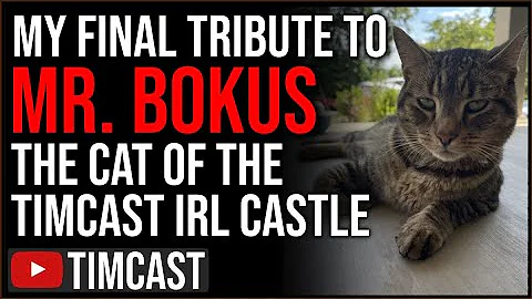 My Final Tribute To Mr. Bokus, Our Cat Is Nearing ...