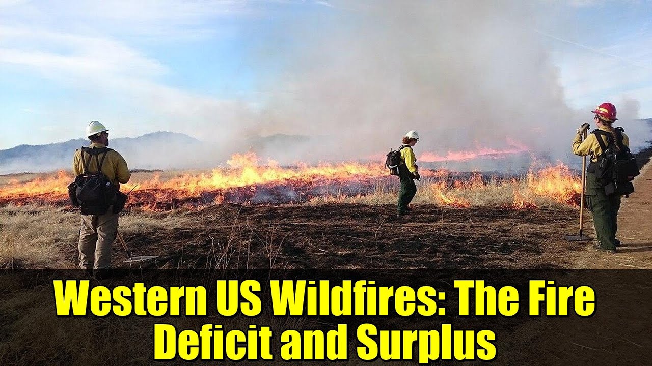 Лесные пожары на западе США: дефицит и избыток пожарной безопасности.