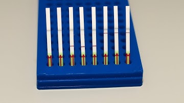 SHERLOCKv2: Detection results on a paper strip