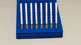 SHERLOCKv2: Detection results on a paper strip