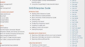 SAS BI (Business Intelligence) Online Training and Placement