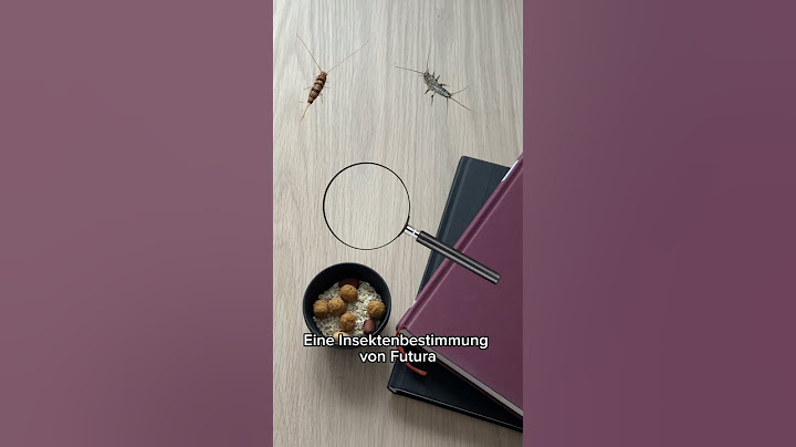 Silberfische bekämpfen - alles was Du wissen musst