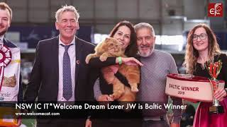 Welcome Cattery 2019'year by Welcome Cattery 145 views 4 years ago 2 minutes, 2 seconds