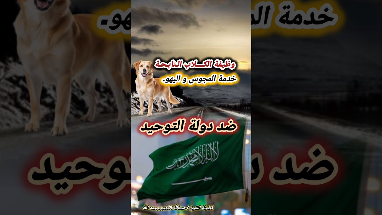 وظيفة الكــــلاب الــــنابــــحــــة خدمة المجوس و اليهو. ضد دولة التوحيد | الشيخ عبدالله القصير