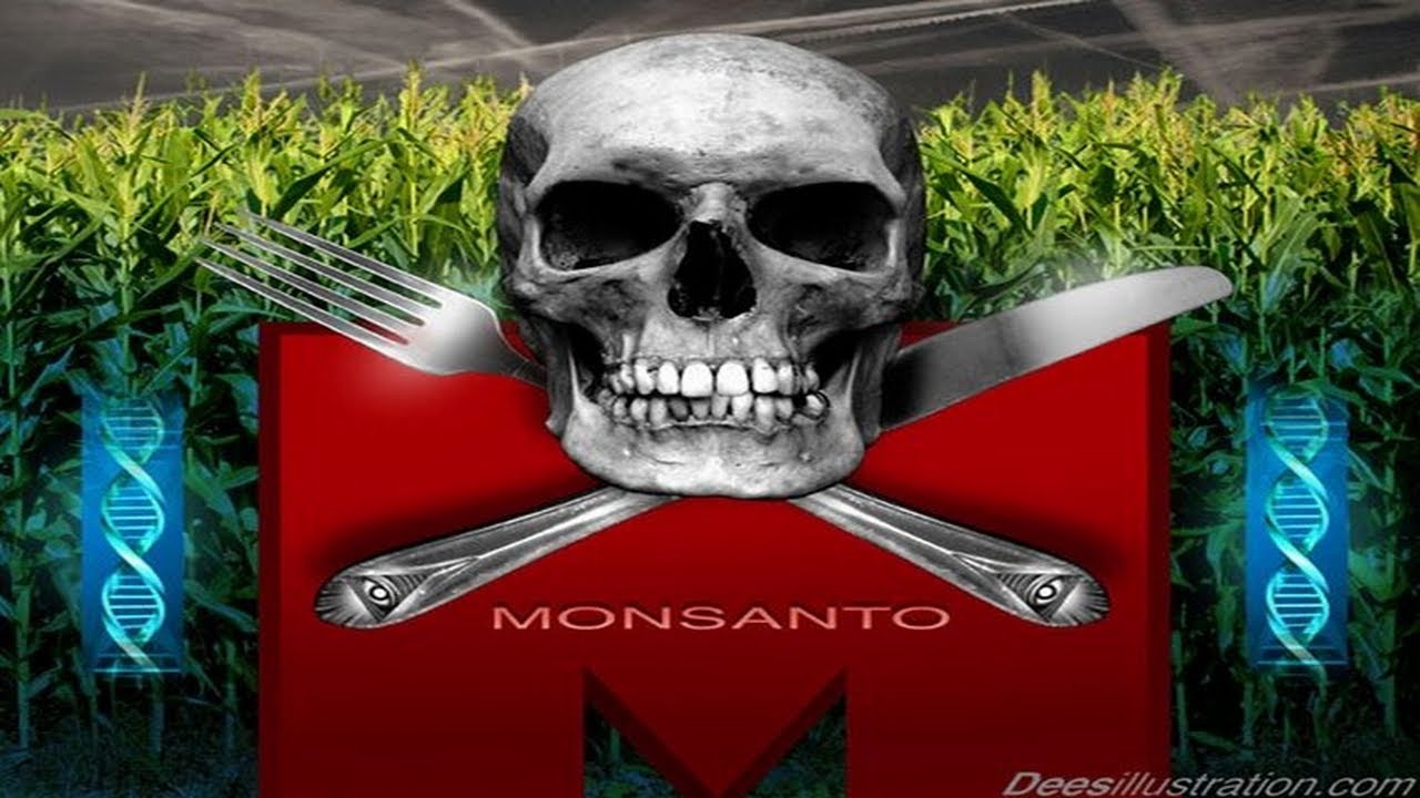 GMO Corn Causes Tumors In Mice YouTube