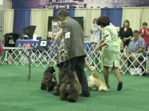 Acadia's Precious Pearl Wins Futurity!