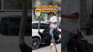 The Girl Reads A Book While Riding An , The Real Automatic Driving.