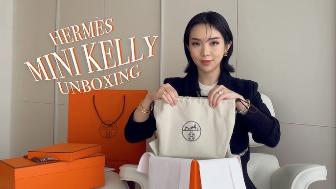 The Re-released Hermès Kelly Elan - The Bag that Every Collector Wants -  PurseBop