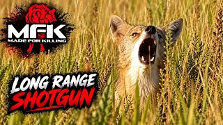 MFK Game Calls - Long Range Shotgun Coyote! - 4K