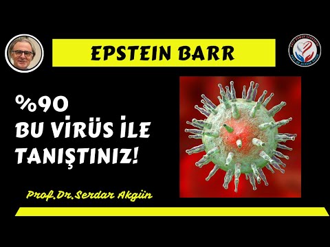 En sık görülen ,virüs enfeksiyonu, Sağlık, Prof.Dr.Serdar Akgün,Tıp Videoları