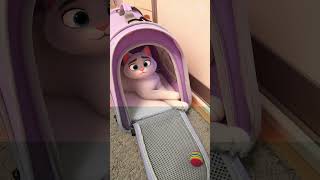 Daffy In Cartoon Mode