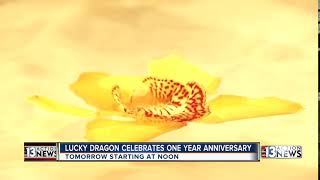 Lucky Dragon celebrates its 1-year anniversary