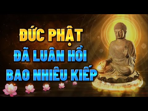 Đức Phật đã