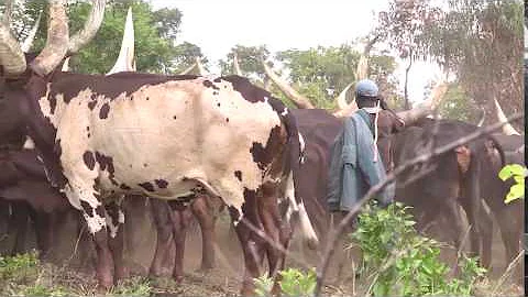 Sustainable soil management practices in the Kagera river basin