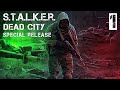 S.T.A.L.K.E.R. Dead City Special Release #1 Лёжка Стрелка