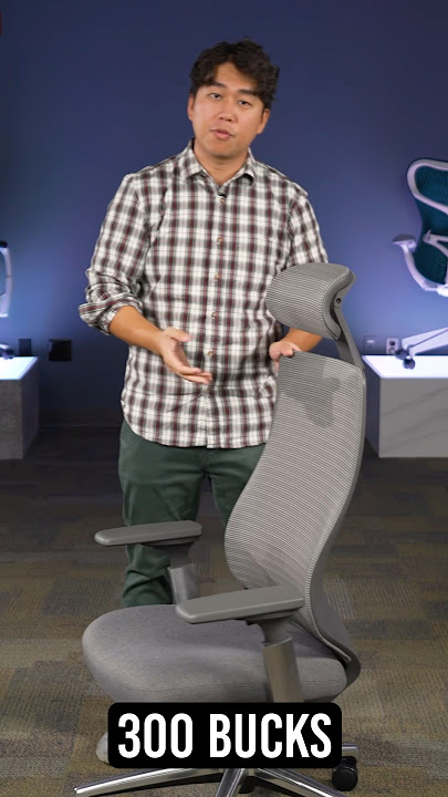 The BEST Ergonomic Chair Under $300