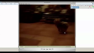 Finding Key Poses in Video Reference-Preview Video