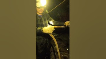 Đụng Độ Rắn Khủng Mùa Nước Nổi #sanbat #mùanướcnổi #mientay #nauan