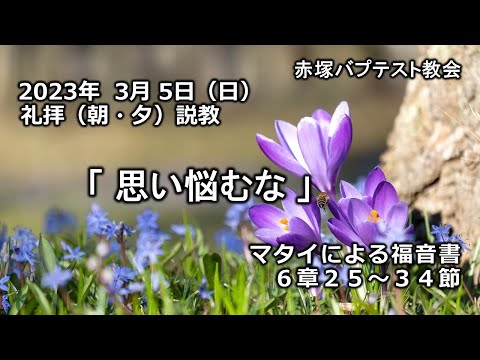 2023年3月5日(日)（朝・夕）赤塚教会礼拝説教「思い悩むな」マタイによる福音書6章25～34節