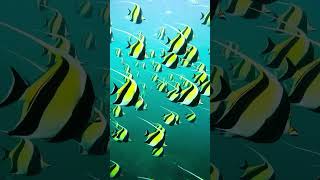 Beautiful Fish                            shortsvideo shortvideo shorts viral video wildlife