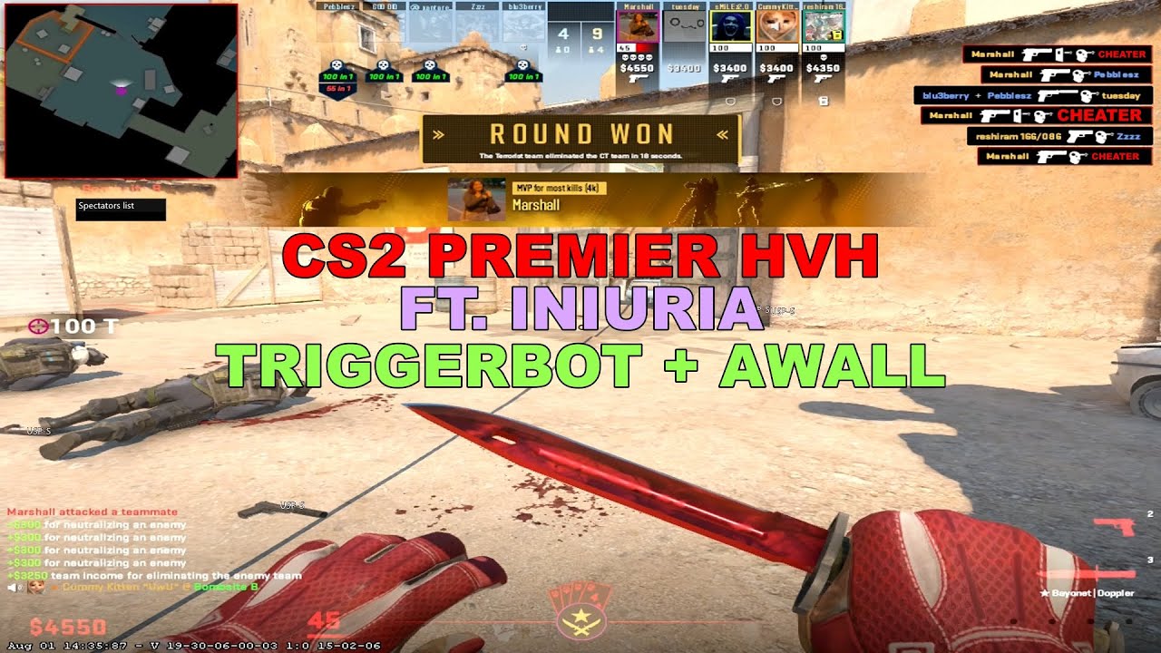 CS2 PREMIER HVH FT. INIURIA TRIGGERBOT + AWALL - YouTube