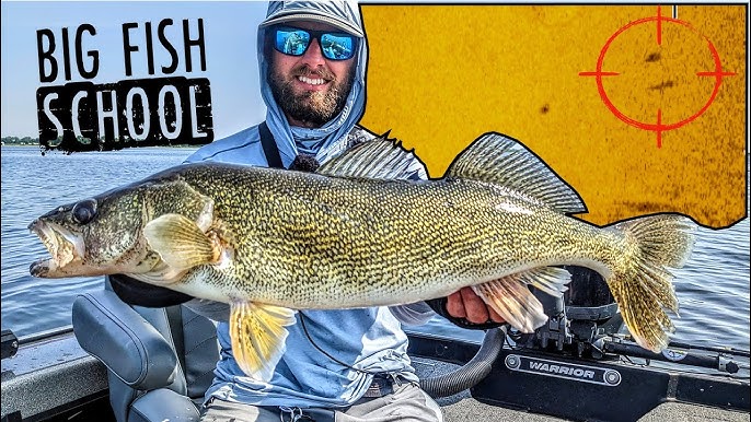 Pool 4 Mississippi River Must-Have Jigs and Plastics for Walleyes (Segment)  
