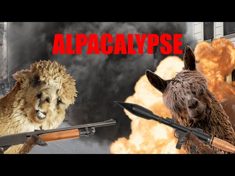 Frazee Wooster - "Alpacalypse" Official Music Video