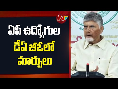 Changes In AP Employees DA GO | CM Chandrababu | NTV Telugu - NTVTELUGU