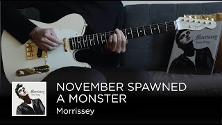 Vignette de la vidéo "Morrissey - November Spawned A Monster (Guitar Cover)"