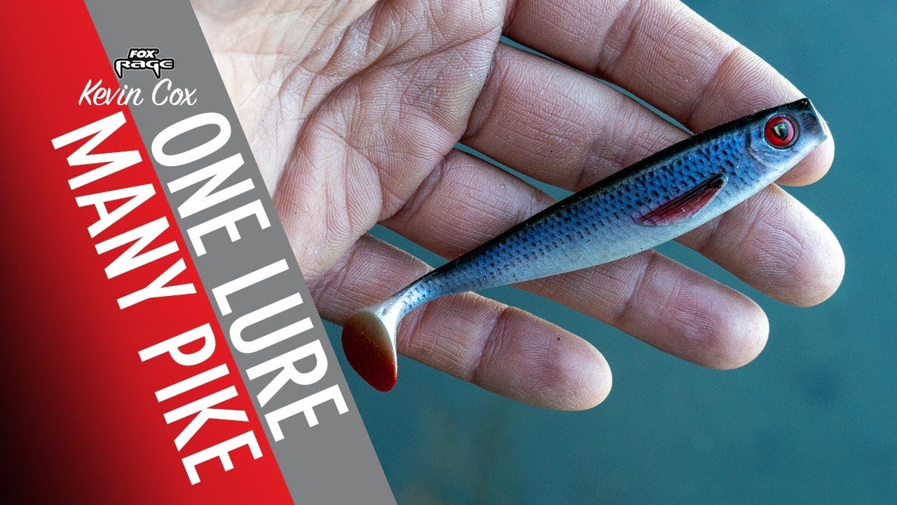 The 10 Best Pike Lures for a Good Catch