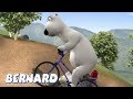 Bernard bear  mountain biking and more  cartoons for children