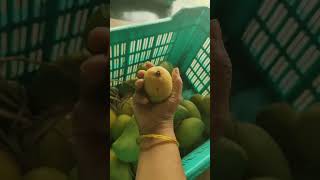 Premium Mango varieties from Nature's box farmlands | Naturally ripe mangoes | Chemical-free mango