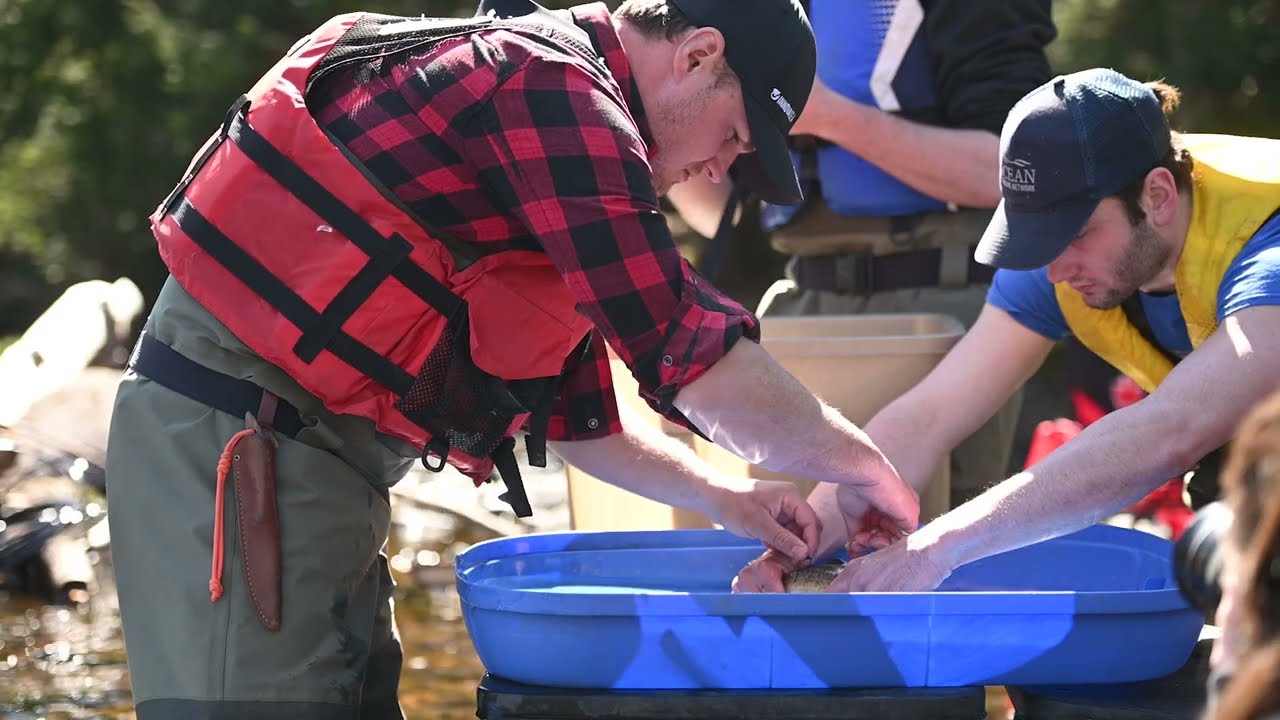 NexTrak: A New Era for Aquatic Animal Research